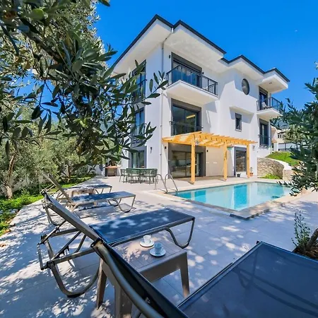 Villa Arici Evi Delux Luxury With Indoor And Outdoor Pool