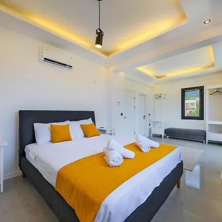 빌라 Arici Evi Delux Luxury With Indoor And Outdoor Pool 페티예