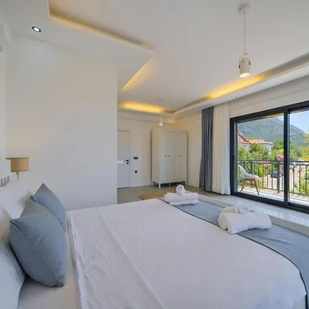 Arici Evi Delux Luxury With Indoor And Outdoor Pool Willa