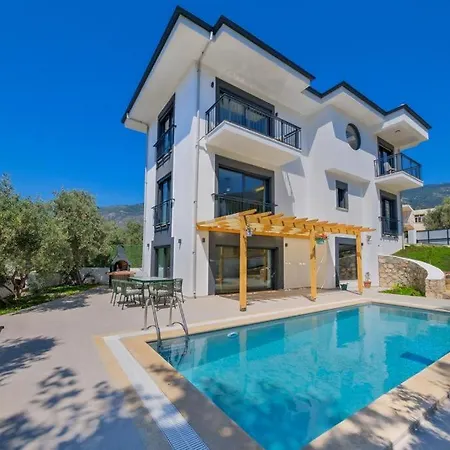 Вилла Arici Evi Delux Luxury With Indoor And Outdoor Pool Фетхие