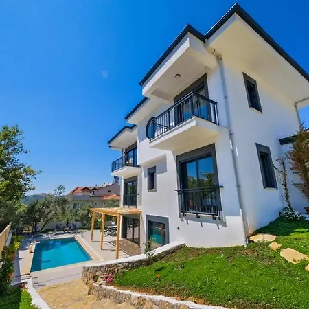 Arici Evi Delux Luxury With Indoor And Outdoor Pool Вилла Фетхие