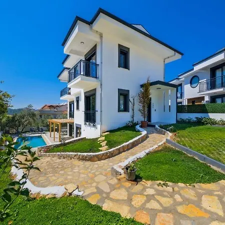 Arici Evi Delux Luxury With Indoor And Outdoor Pool 费特希耶